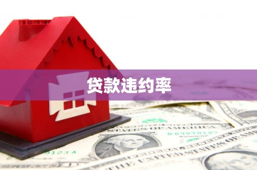 东区贷款违约率