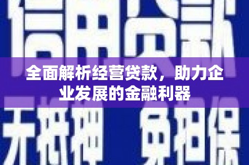 东区全面解析经营贷款，助力企业发展的金融利器