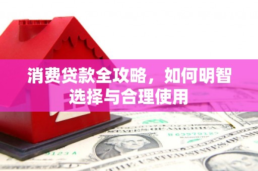 东区消费贷款全攻略，如何明智选择与合理使用