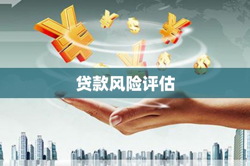 东区贷款风险评估