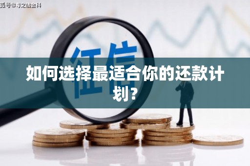东区如何选择最适合你的还款计划？