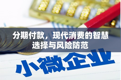 东区分期付款，现代消费的智慧选择与风险防范