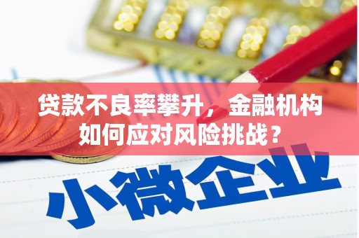 东区贷款不良率攀升，金融机构如何应对风险挑战？