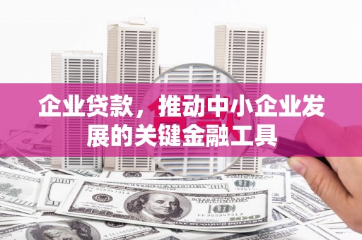 东区企业贷款，推动中小企业发展的关键金融工具