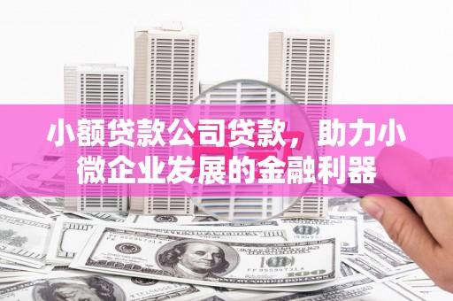 东区小额贷款公司贷款，助力小微企业发展的金融利器