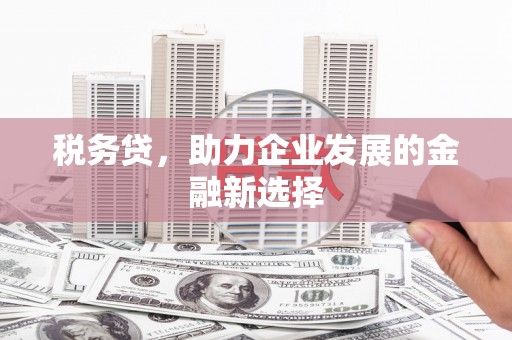 东区税务贷，助力企业发展的金融新选择