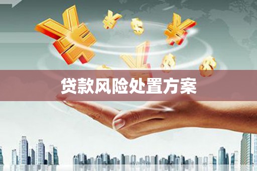 东区贷款风险处置方案