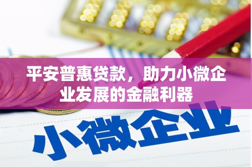 东区平安普惠贷款，助力小微企业发展的金融利器