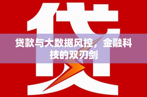 东区贷款与大数据风控，金融科技的双刃剑