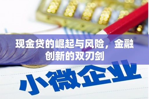 东区现金贷的崛起与风险，金融创新的双刃剑