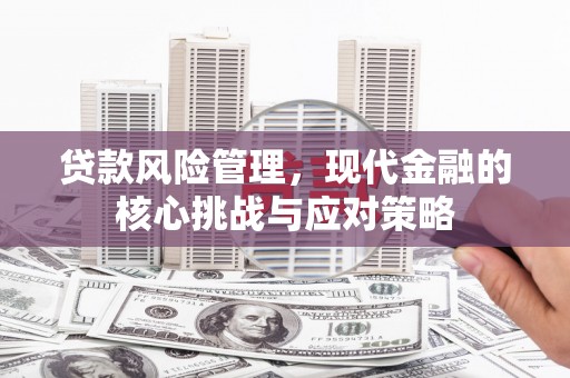 东区贷款风险管理，现代金融的核心挑战与应对策略