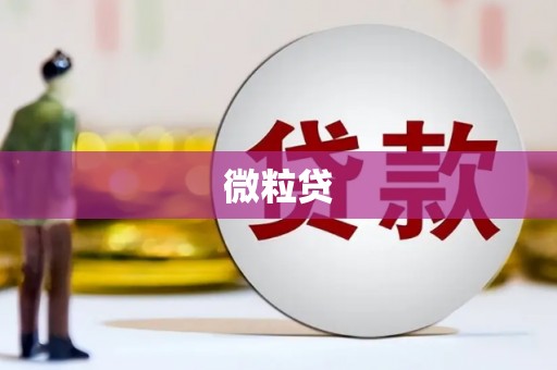 东区微粒贷