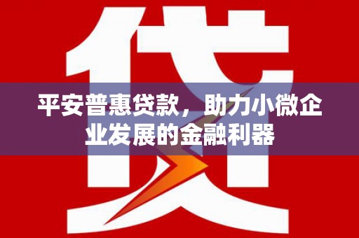 东区平安普惠贷款，助力小微企业发展的金融利器
