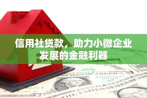 东区信用社贷款，助力小微企业发展的金融利器