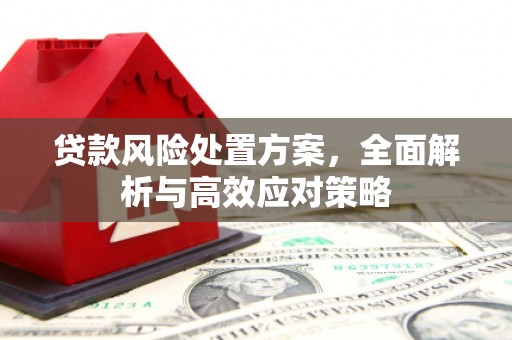东区贷款风险处置方案，全面解析与高效应对策略
