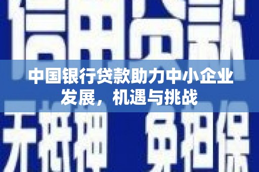 东区中国银行贷款助力中小企业发展，机遇与挑战