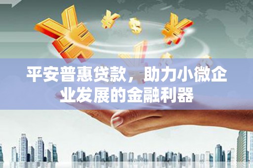 东区平安普惠贷款，助力小微企业发展的金融利器