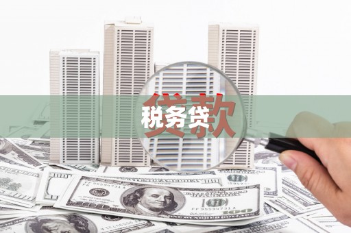 东区税务贷