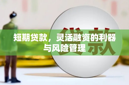 东区短期贷款，灵活融资的利器与风险管理