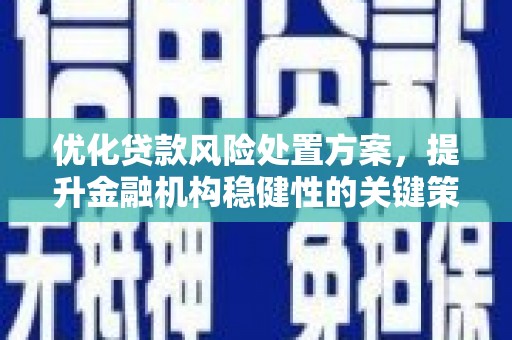 东区优化贷款风险处置方案，提升金融机构稳健性的关键策略