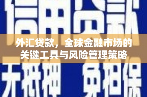 东区外汇贷款，全球金融市场的关键工具与风险管理策略