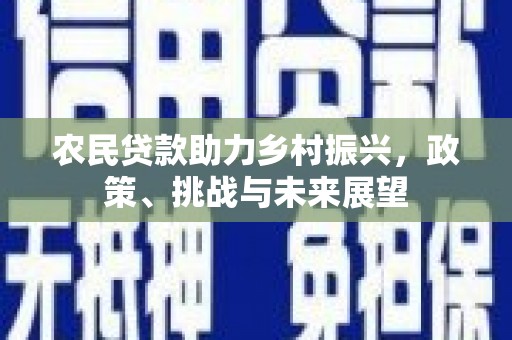 东区农民贷款助力乡村振兴，政策、挑战与未来展望