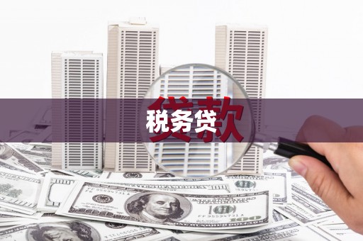 东区税务贷