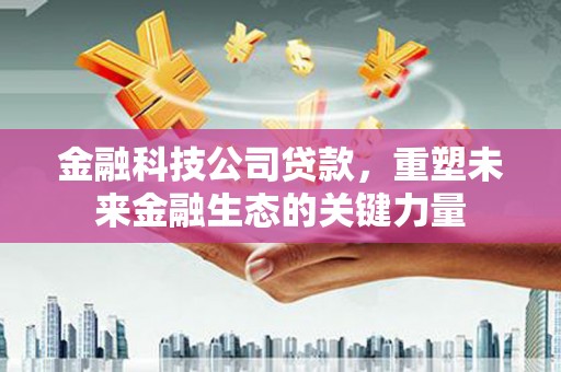 东区金融科技公司贷款，重塑未来金融生态的关键力量