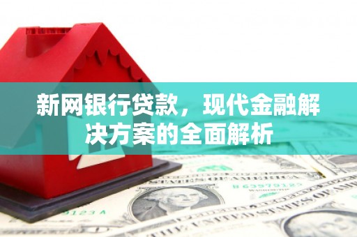 东区新网银行贷款，现代金融解决方案的全面解析