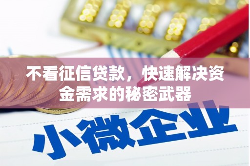 东区不看征信贷款，快速解决资金需求的秘密武器