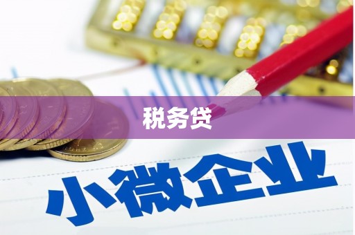 东区税务贷
