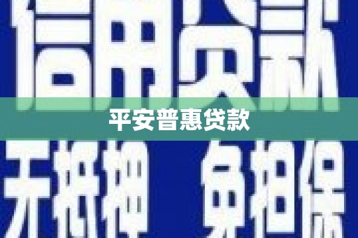 东区平安普惠贷款
