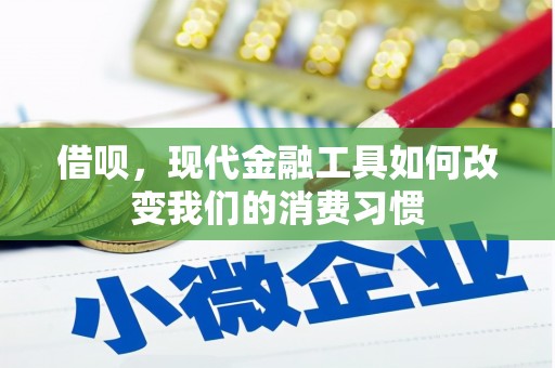 东区借呗，现代金融工具如何改变我们的消费习惯