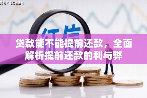 东区贷款能不能提前还款，全面解析提前还款的利与弊