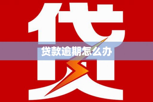 东区贷款逾期怎么办