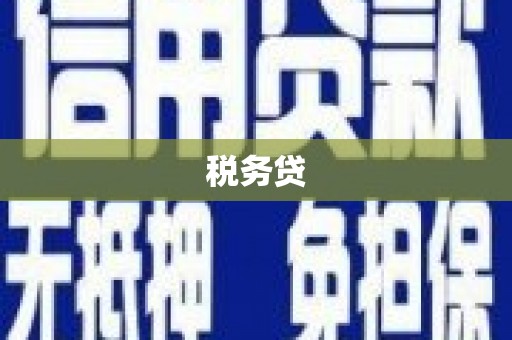 东区税务贷