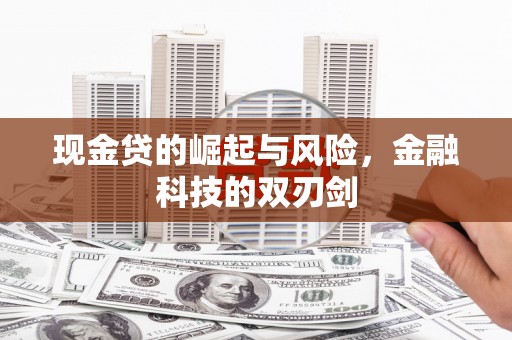 东区现金贷的崛起与风险，金融科技的双刃剑