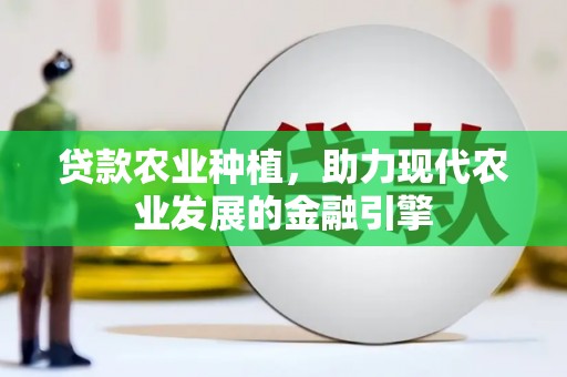 东区贷款农业种植，助力现代农业发展的金融引擎