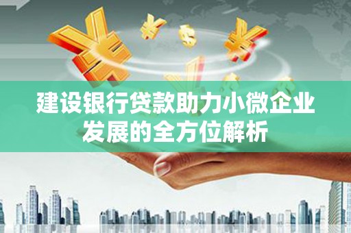 东区建设银行贷款助力小微企业发展的全方位解析