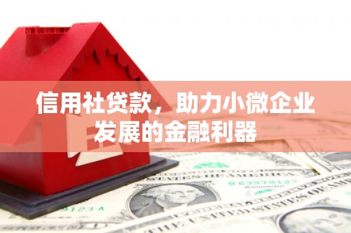 东区信用社贷款，助力小微企业发展的金融利器