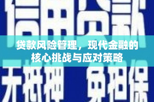东区贷款风险管理，现代金融的核心挑战与应对策略
