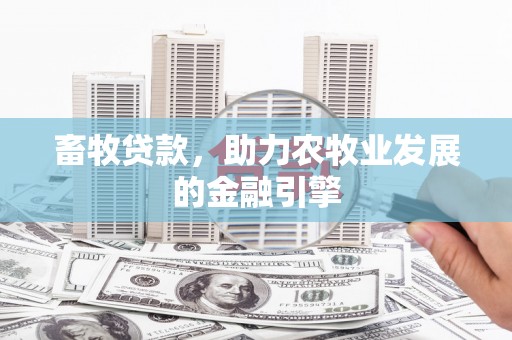 东区畜牧贷款，助力农牧业发展的金融引擎