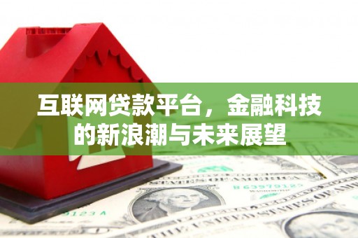 东区互联网贷款平台，金融科技的新浪潮与未来展望