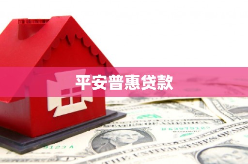 东区平安普惠贷款