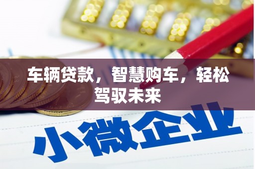 东区车辆贷款，智慧购车，轻松驾驭未来