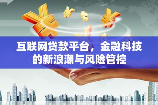 东区互联网贷款平台，金融科技的新浪潮与风险管控