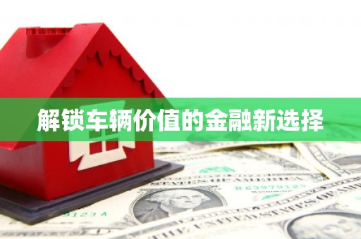 东区解锁车辆价值的金融新选择