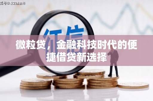 东区微粒贷，金融科技时代的便捷借贷新选择