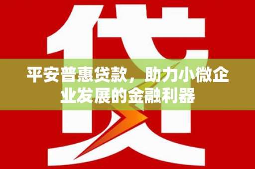 东区平安普惠贷款，助力小微企业发展的金融利器