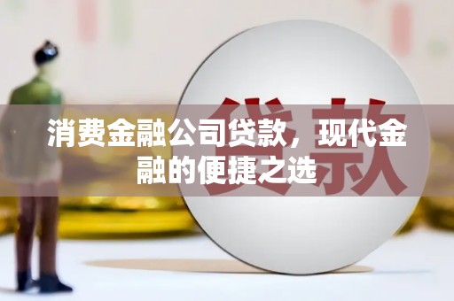东区消费金融公司贷款，现代金融的便捷之选